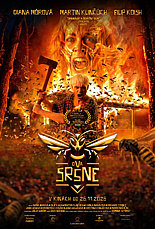 DVA SRŠNE